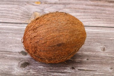 Arka planda tropik kahverengi hindistan cevizi izole edildi