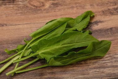 Aroma Taze yeşil kuş sürüsü