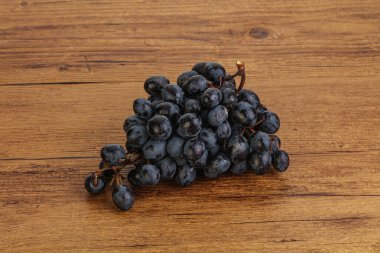 Arka planda izole edilmiş mor üzüm dalı