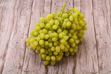 Arka planda tatlı yeşil üzüm dalı