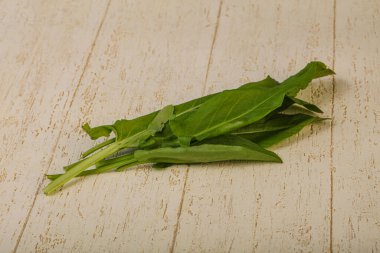 Aroma Taze yeşil kuş sürüsü