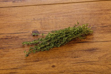 Taze aromalı yeşil bitki kekik çeşnisi yalıtılmış.