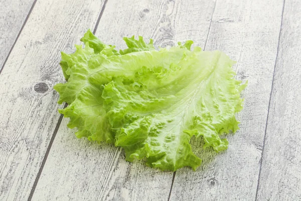 Fresco Insalata Verde Lattuga Foglie Mucchio — Foto Stock