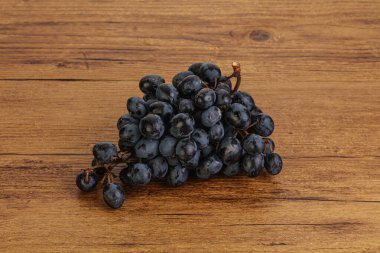 Arka planda izole edilmiş mor üzüm dalı