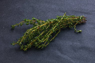 Taze yeşil aroma Kekik dalı yığını