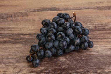 Arka planda izole edilmiş mor üzüm dalı