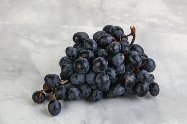 Arka planda izole edilmiş mor üzüm dalı