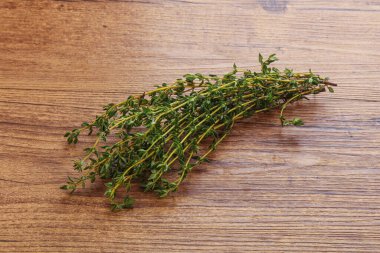 Taze yeşil aroma Kekik dalı yığını