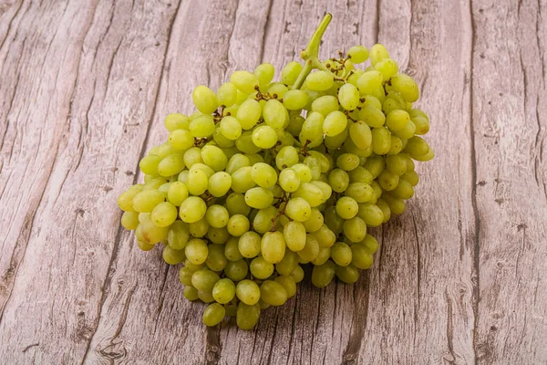 Arka planda tatlı yeşil üzüm dalı