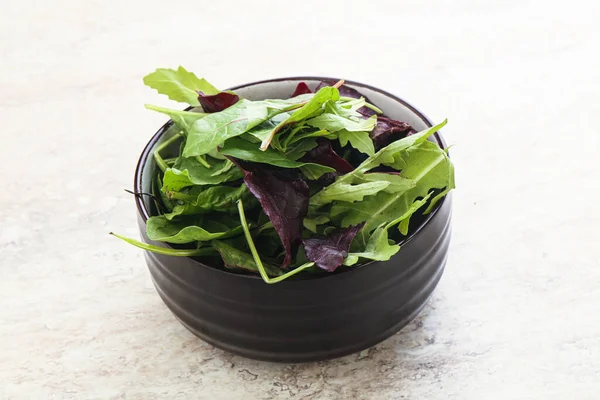 Vejetaryen Karışımı Yeşil Vitamin Salatası — Stok fotoğraf
