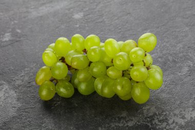 Olgun yeşil üzüm dalı yalıtılmış.