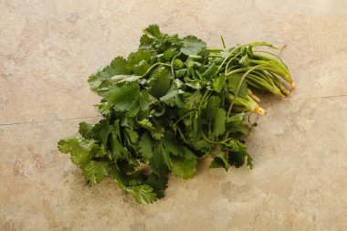 Taze yeşil kişniş yaprakları izole edilmiş.