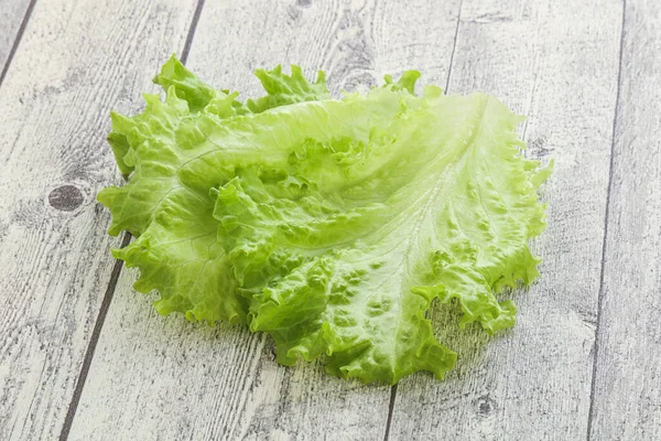 Свежий Зеленый Салат Листья Кучи — стоковое фото