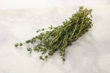 Taze aromalı yeşil bitki kekik çeşnisi yalıtılmış.