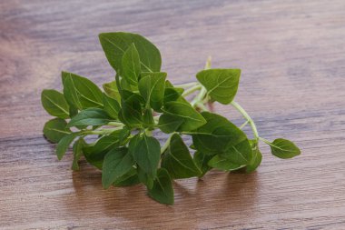 Taze taze fesleğen yaprakları aroması