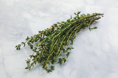 Taze yeşil aroma Kekik dalı yığını