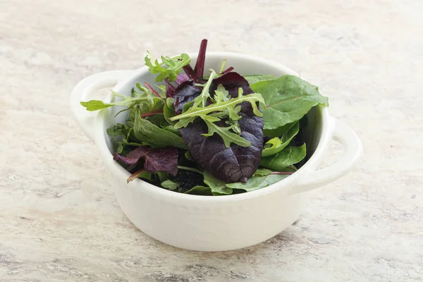 Mistura Vegetariana Vitamina Verde Salada Dietética — Fotografia de Stock