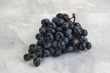 Arka planda izole edilmiş mor üzüm dalı