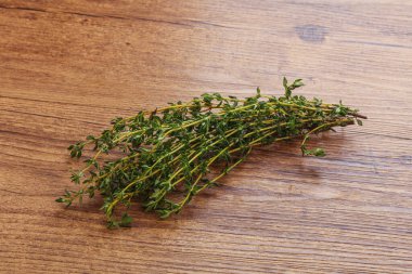 Taze yeşil aroma Kekik dalı yığını