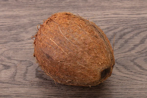 Tropický Hnědý Kokos Pozadí Izolované — Stock fotografie