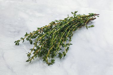 Taze yeşil aroma Kekik dalı yığını