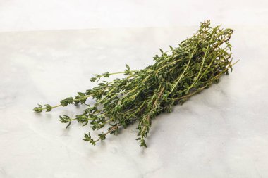 Taze aromalı yeşil bitki kekik çeşnisi yalıtılmış.