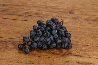 Arka planda izole edilmiş mor üzüm dalı