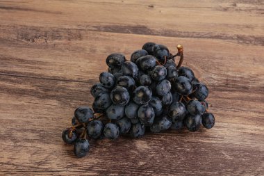 Arka planda izole edilmiş mor üzüm dalı