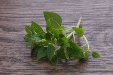 Taze taze fesleğen yaprakları aroması
