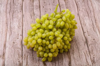 Arka planda tatlı yeşil üzüm dalı