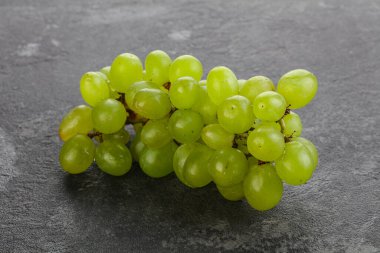 Olgun yeşil üzüm dalı yalıtılmış.