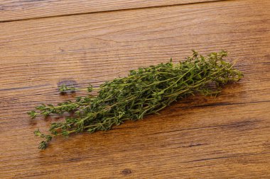 Taze aromalı yeşil bitki kekik çeşnisi yalıtılmış.