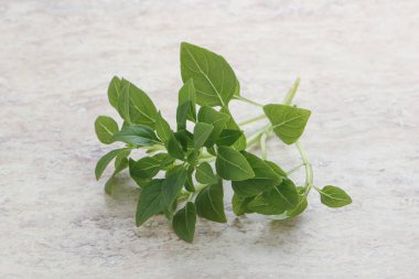 Taze taze fesleğen yaprakları aroması