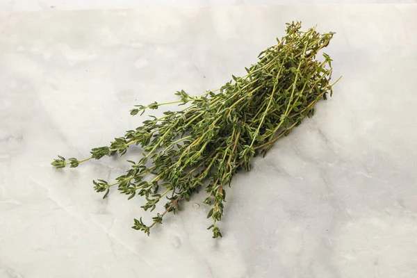 Fresh Aroma Green Herb Thyme Seasoning Isolated — Stock Photo, Image