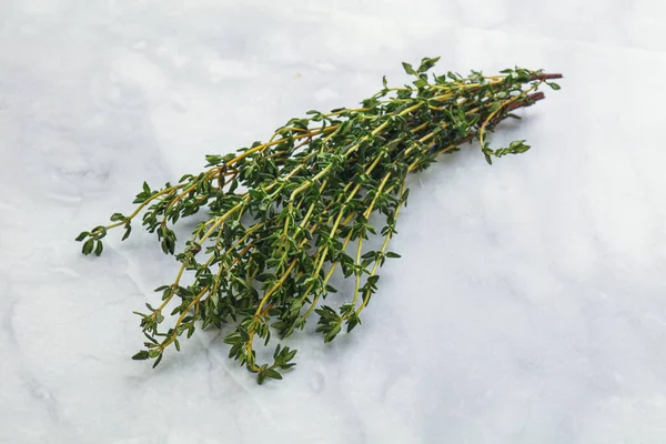 Fresh Green Aroma Thyme Branch Heap Royalty Free Stock Images