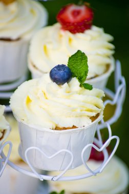 yaban mersini ile cupcake