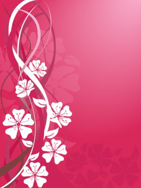 Sakura çiçeği