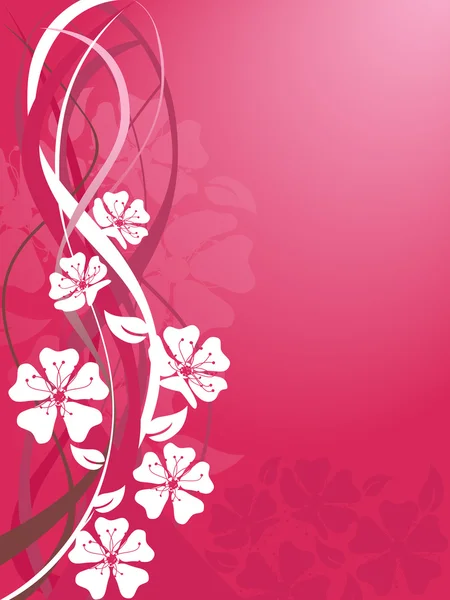 Sakura çiçeği — Stok Vektör