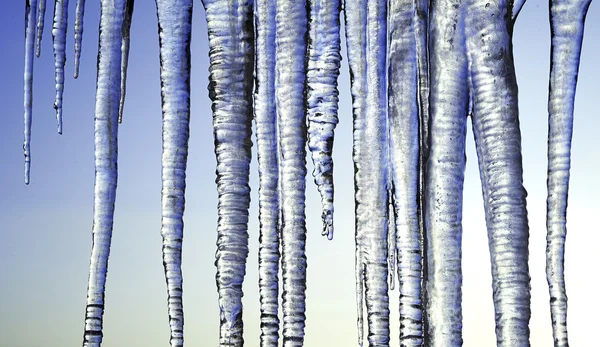 Long Icicicles Isolated on Blue Sky — стоковое фото