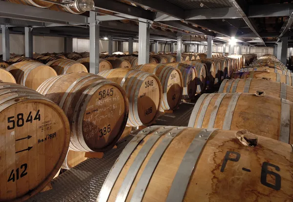 Barriles de coñac en bodega — Foto de Stock