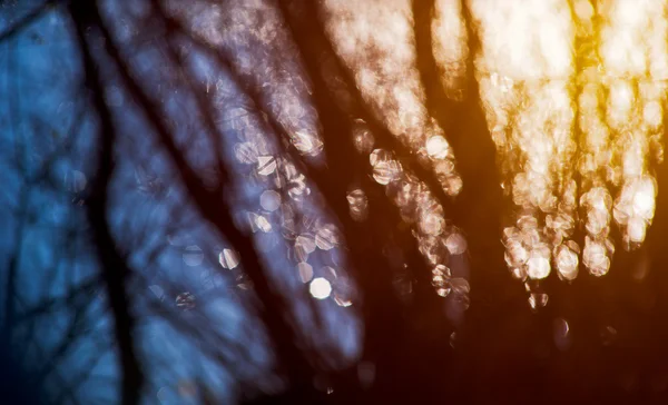 Niewyraźne krajobraz streszczenie tło z bokeh Obraz Stockowy