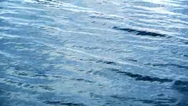 Sfondo della superficie dell'acqua ondulante — Video Stock