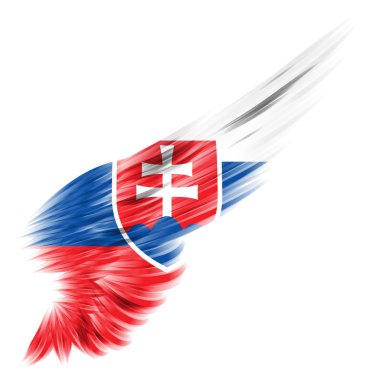 Beyaz arka plan ile arka kanat Slovakya bayrağı