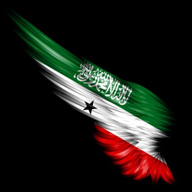 vlag van somaliland op abstracte vleugel met witte achtergrond