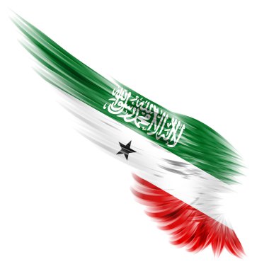Beyaz arka plan ile arka kanat somaliland Cumhuriyeti bayrağı