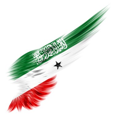 Somaliland bayrak beyaz arka plan ile arka kanat