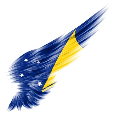 Beyaz arka plan ile arka kanat tokelau bayrağı