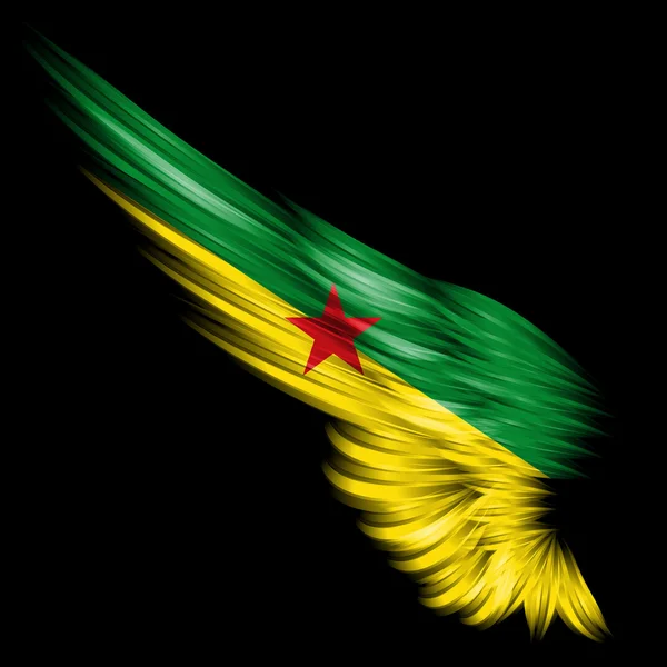 Bandeira da Guiana Francesa na asa abstrata com fundo preto — Fotografia de Stock