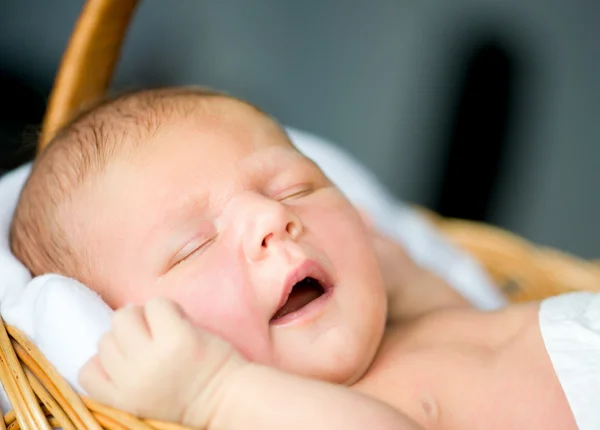 Schattig klein meisje — Stockfoto