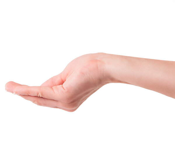 женская рука
